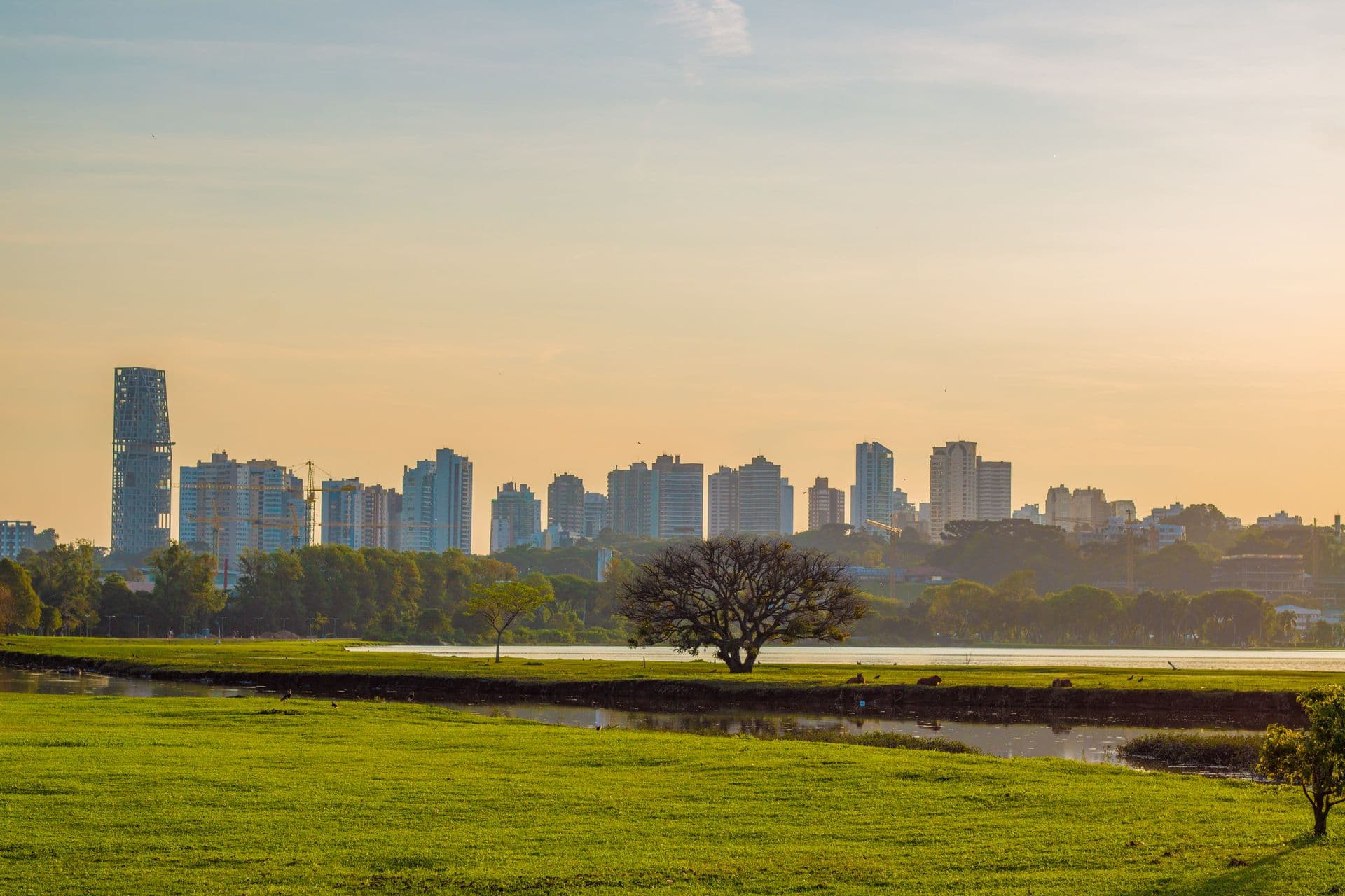 Os Melhores Bairros de Curitiba para Morar em 2026 - Imagem destacada do artigo