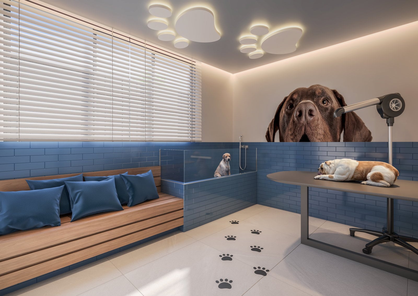 MAKEN_ALMIRANTE_petcare_rev04_high.jpg